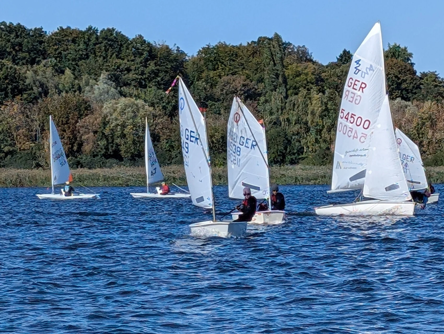 Regatta 1