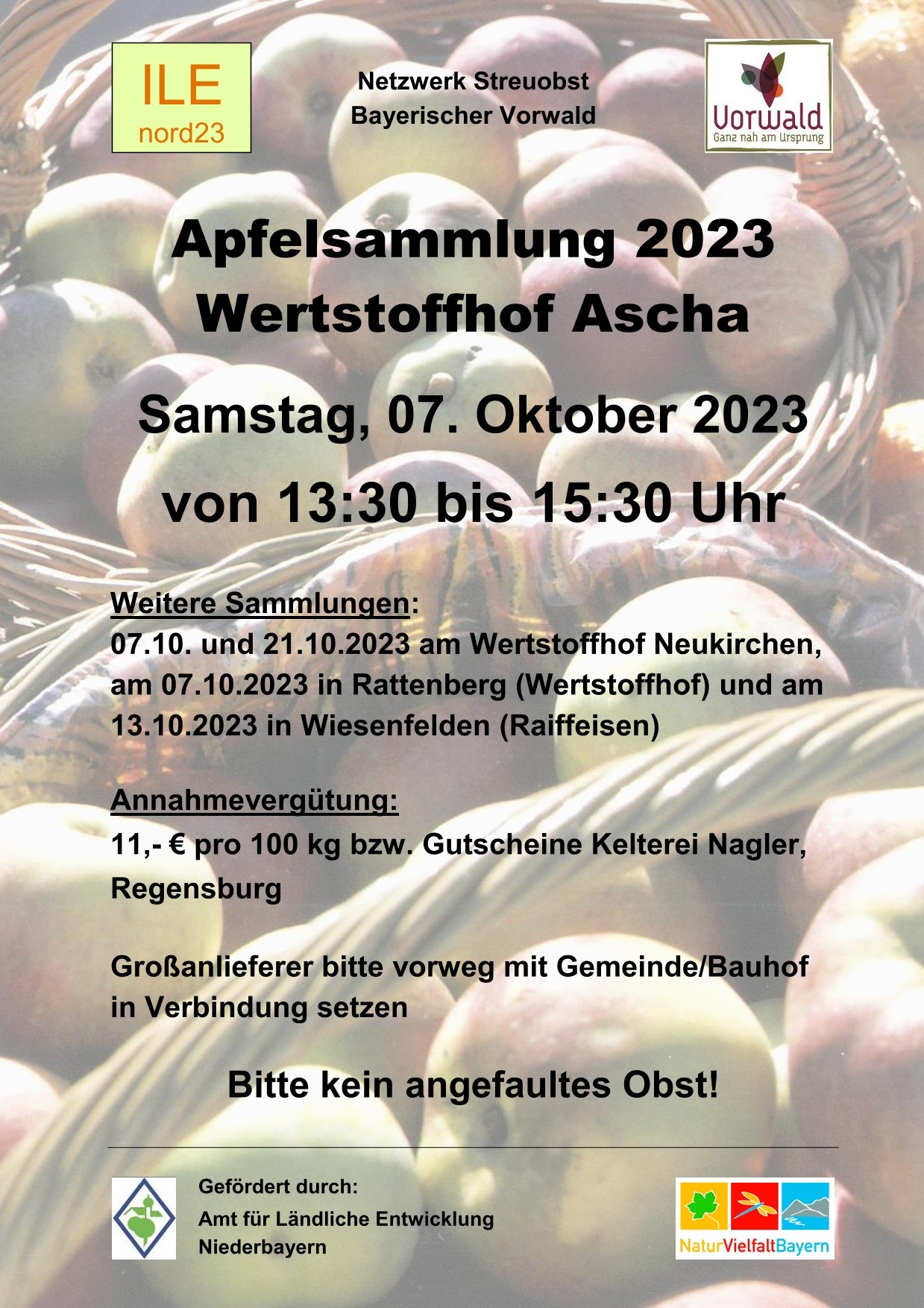 Apfelsammlung 2023 - Plakat Ascha