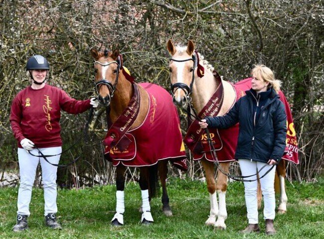650x480-crop-90-gruendleinshof_champions