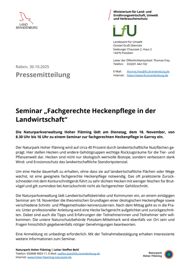 Heckenschnitt