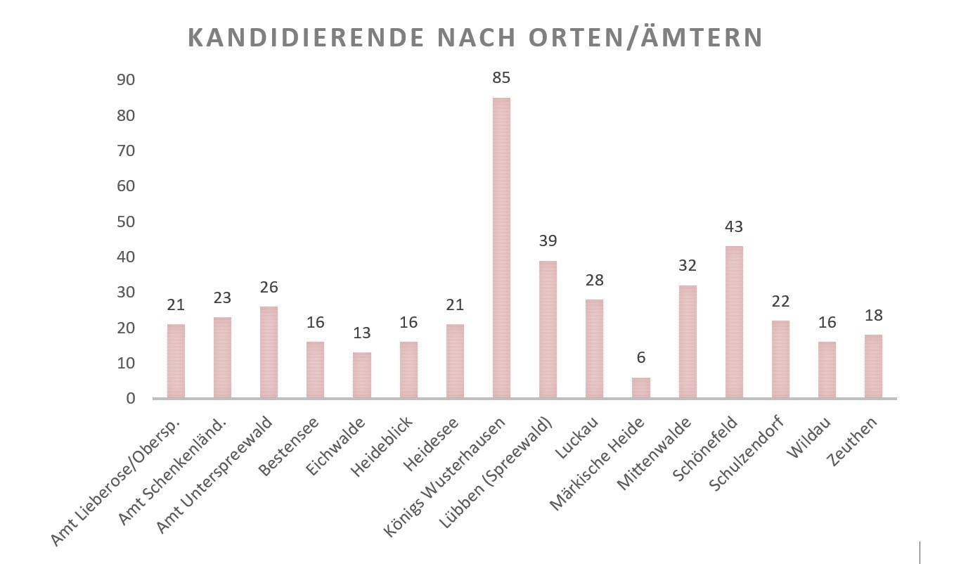 Kreistagskandidaten nach Gemeinden und Ämtern. Grafik: Dörthe Ziemer