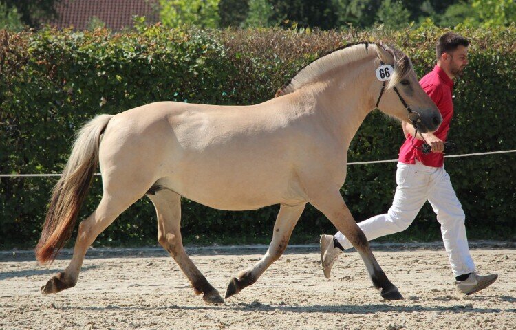 750x480-crop-90-5b__kiss_yola_1b8-10jaehrig