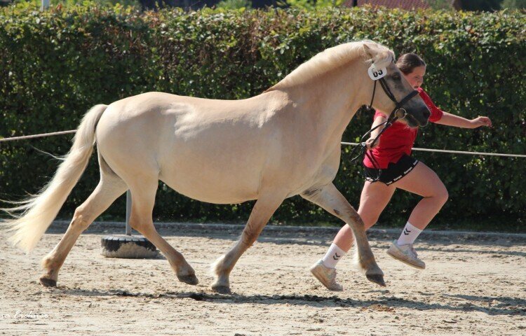 750x480-crop-90-6b__lene_1b_11undaelter