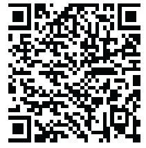 Online-Befragung