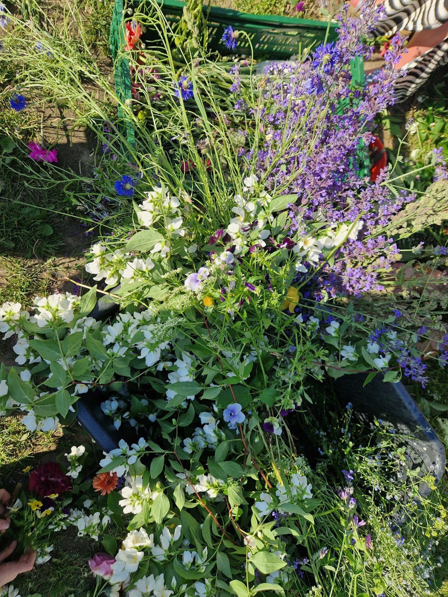 Sommerkränze