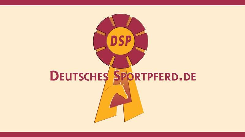 Bild mit Logo Deutsches Sportpferd.de