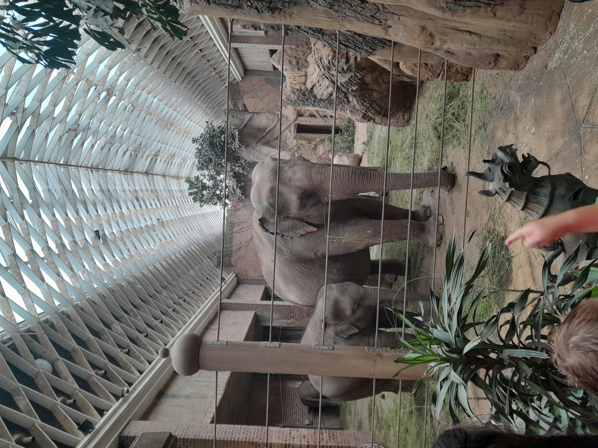 Zoo3
