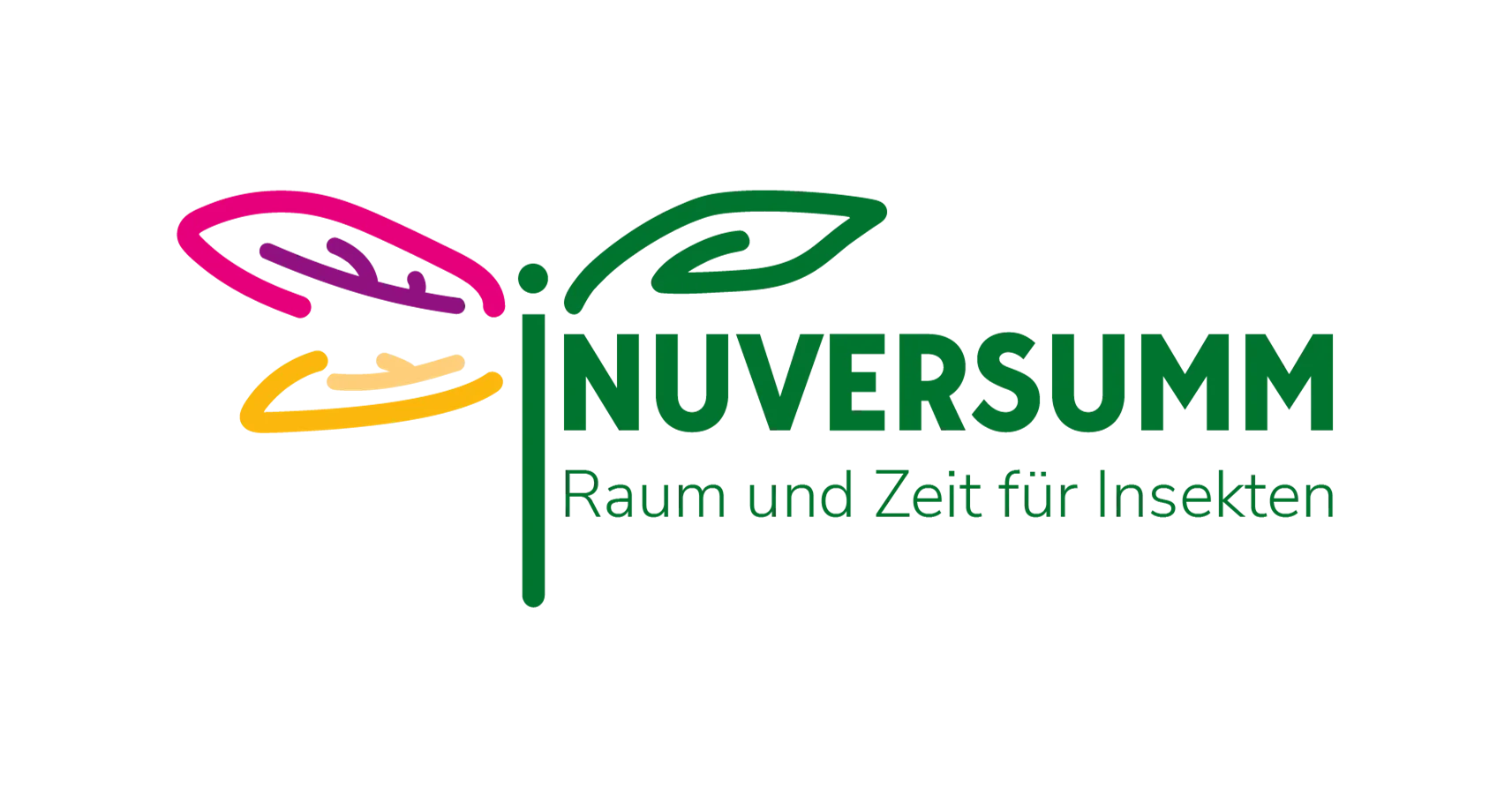 Logo iNUVERSUMM