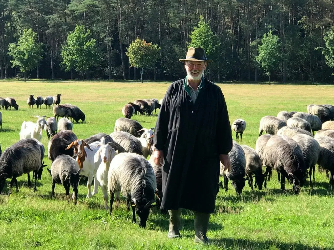 Schäfer Butz und seinde Herde