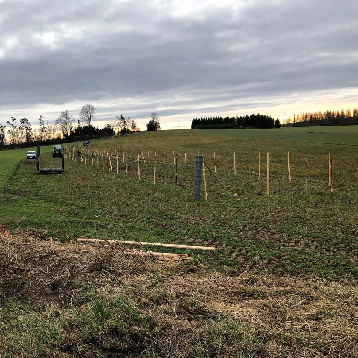 Landschaft mit eingezäuntem Feld, Holzzaunpfählen und bewölktem Himmel