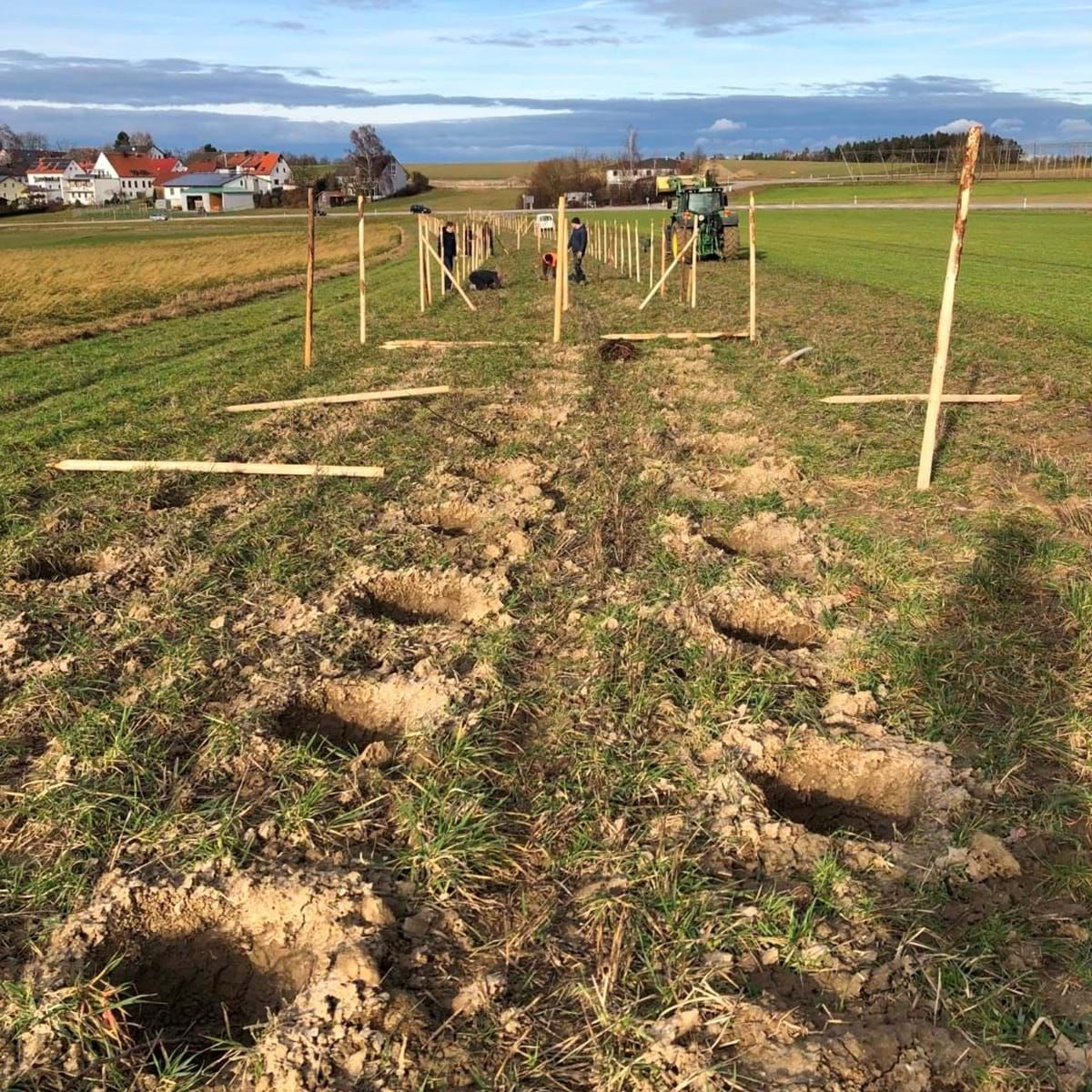 Feld mit mehreren rechteckigen Erdgruben in zwei Reihen, im Hintergrund Häuser und ein bewölkter Himmel