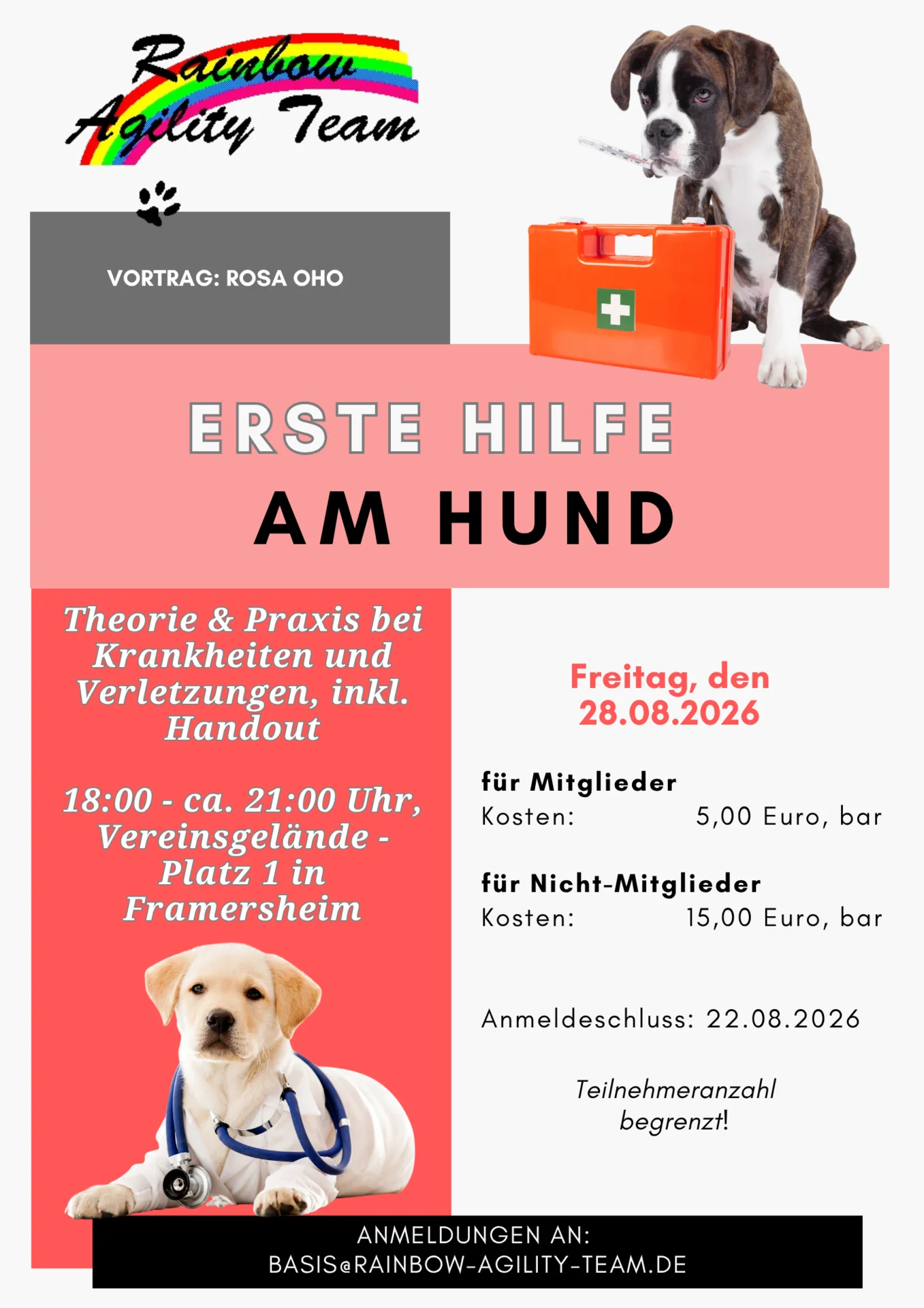 Flyer: Erste Hilfe am Hund