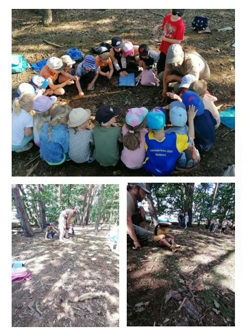 Waldtag mit der Wildnisschule Walk on the Wildside