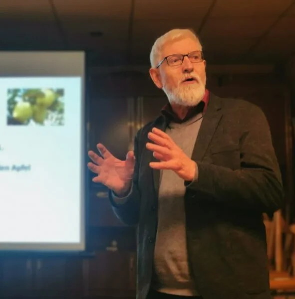 Prof Frank Hellwig