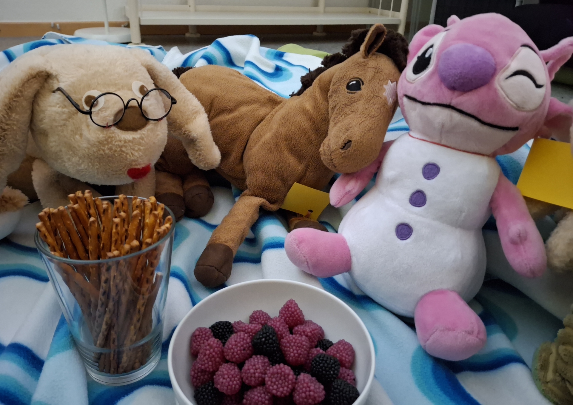 Kuscheltierübernachtung