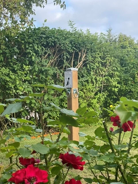 (Foto: Amt Föhr-Amrum)