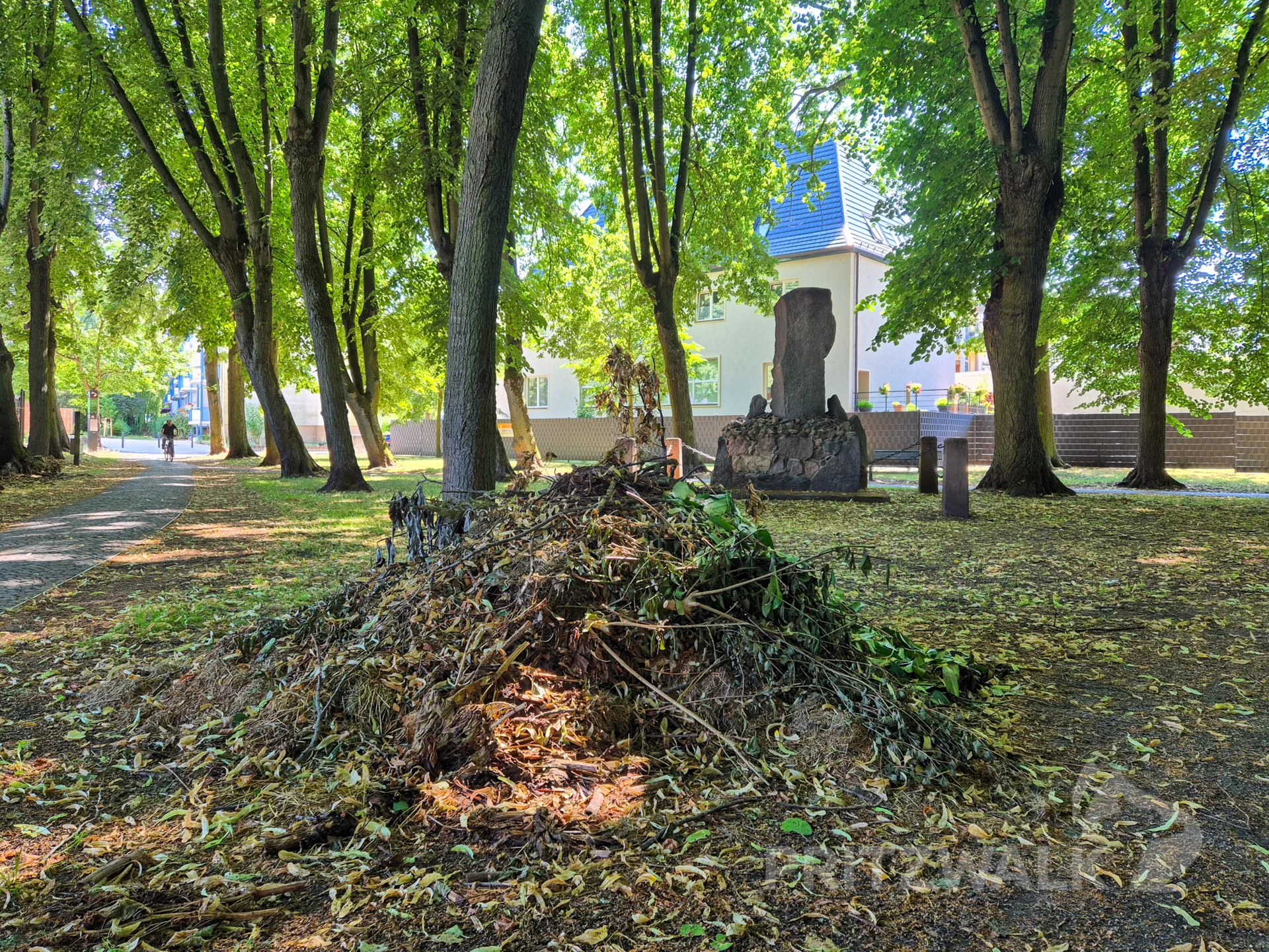 Illegale Entsorgung von Gartenabfällen am Jahndenkmal. Foto: Stadt