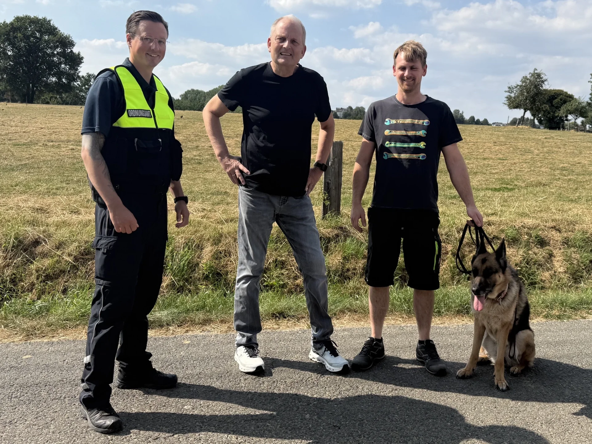 Freilaufende Hunde in Hengsen