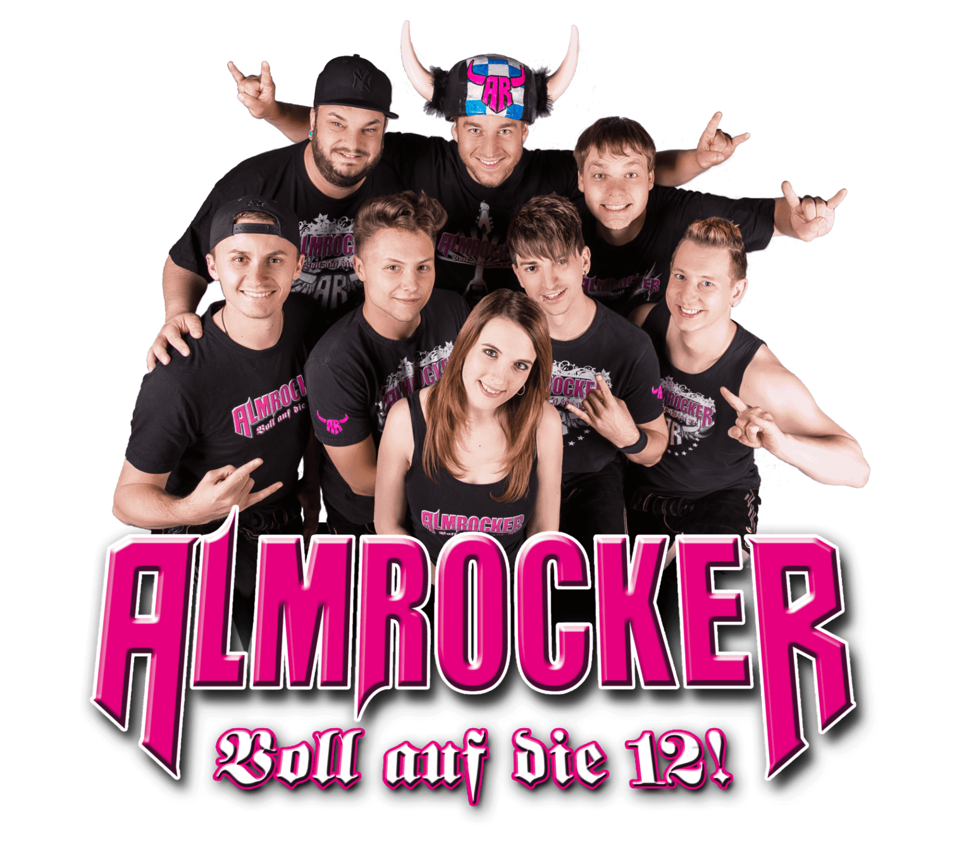 AlmRocker-Bandbild