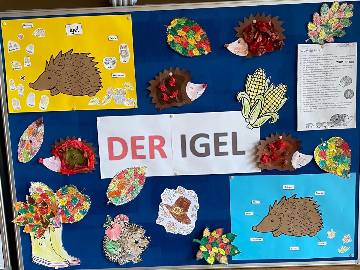 Igelprojekt Klassen 2