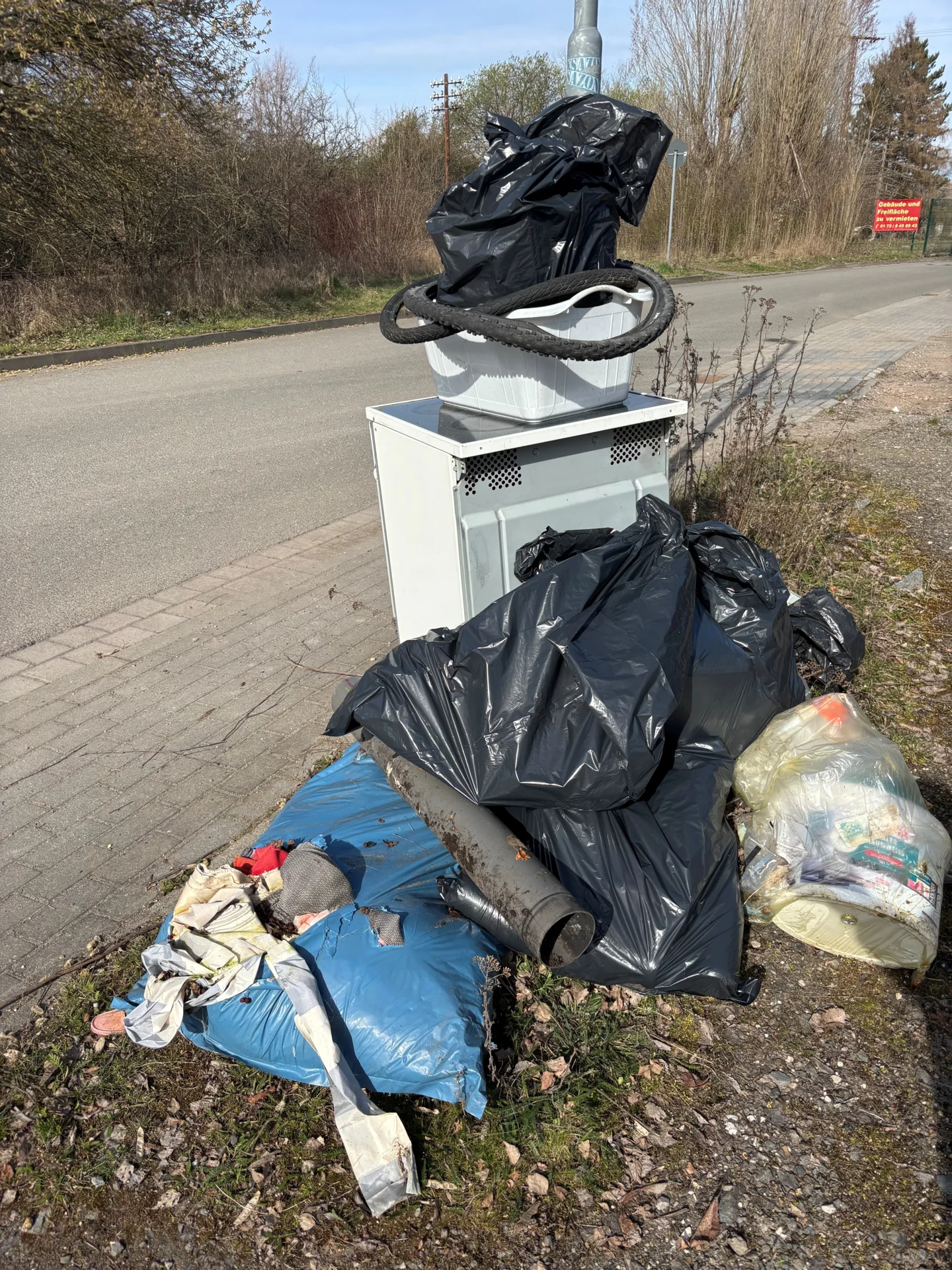 TdsL AfD