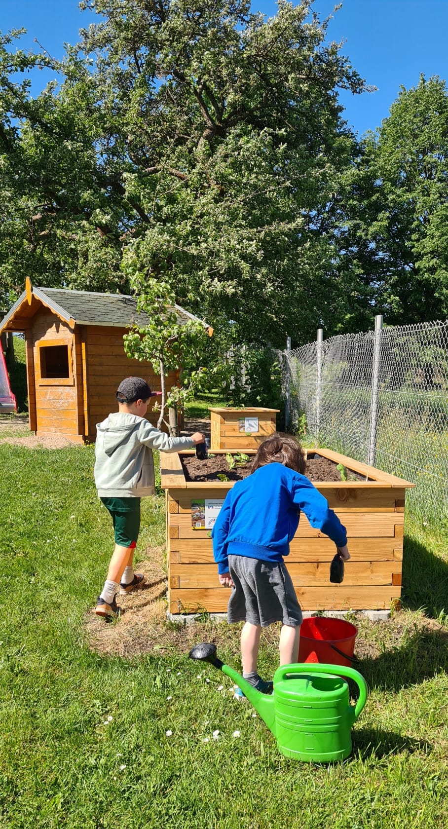 Die Kids helfen beim Pflanzen und Pflegen