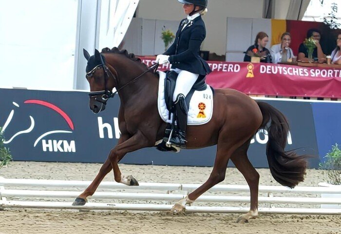 700x480-crop-90-hlt_cosmotino___foto_privat