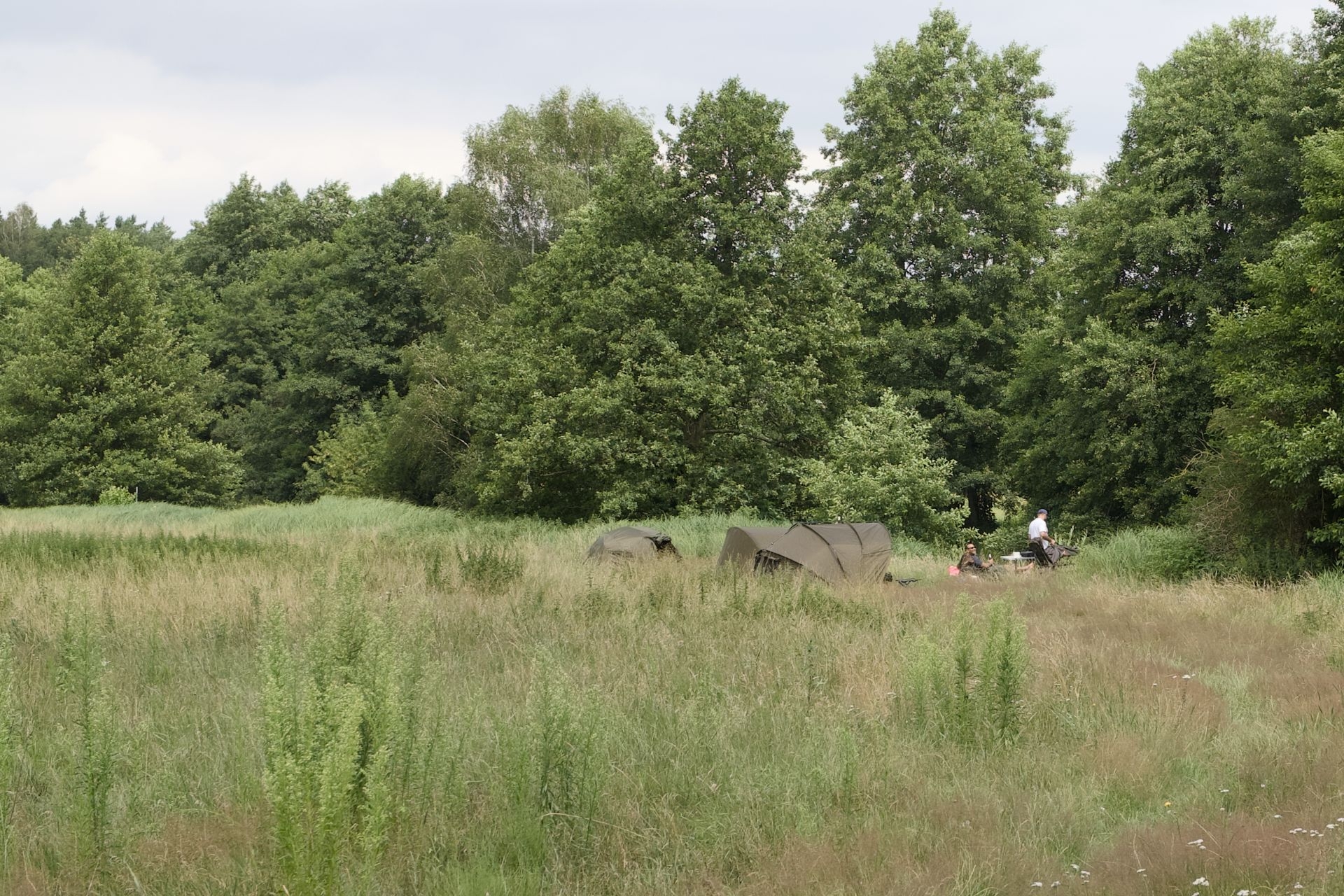 Wildes Campen im Naturschutzgebiet. Foto: Peter Mittwoch