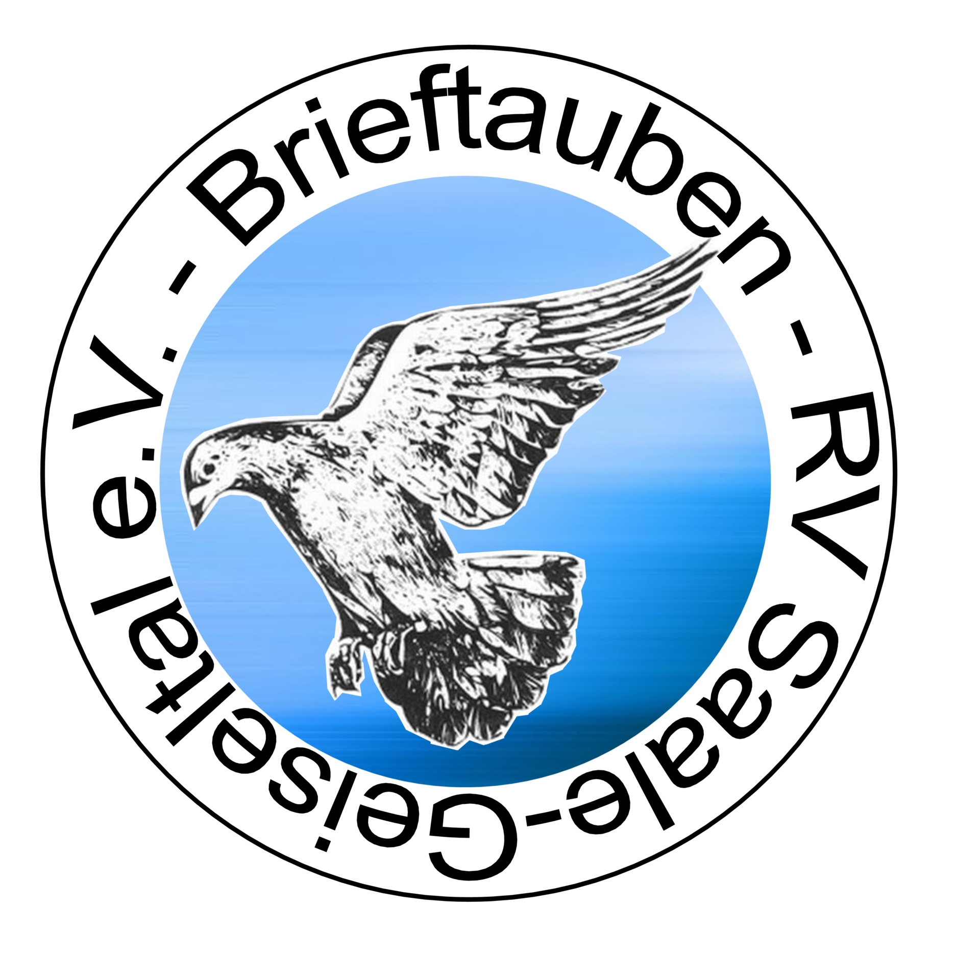 Brieftauben - RV Saale-Geiseltal e.V.