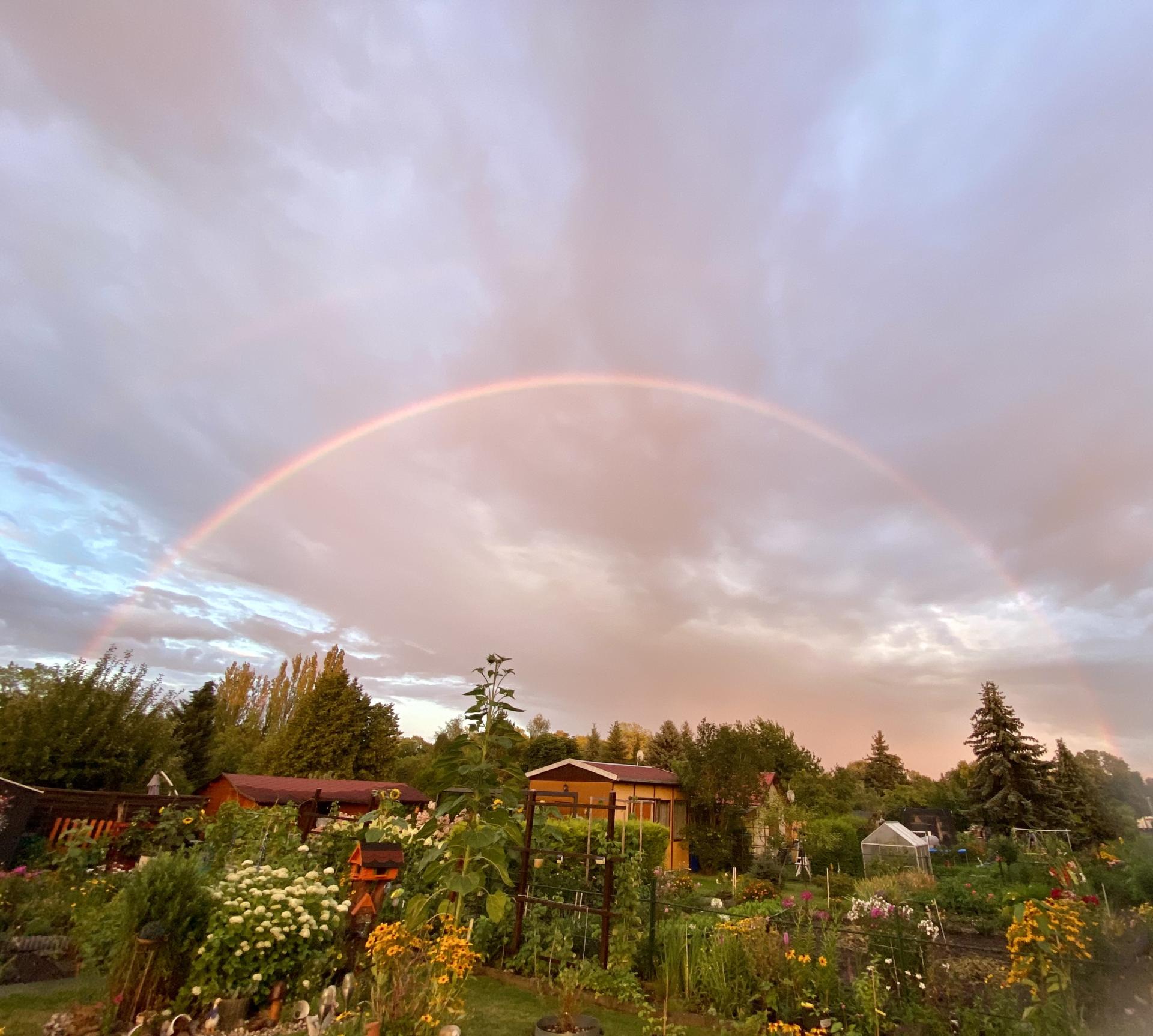 Regenbogen