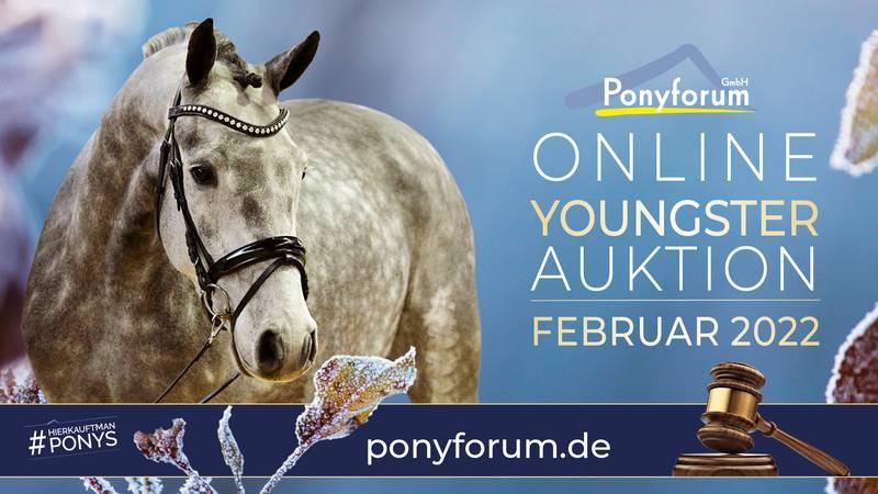 Plakat Online Youngster Auktion Februar 2022