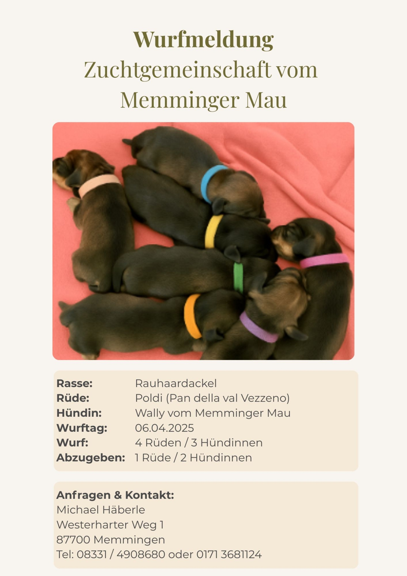 Ausschreibung