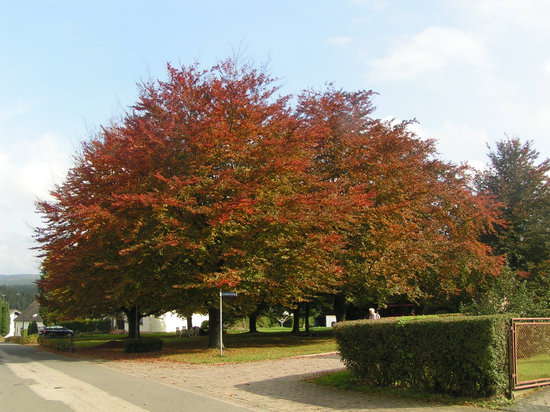 an der Kirche Thiergarten