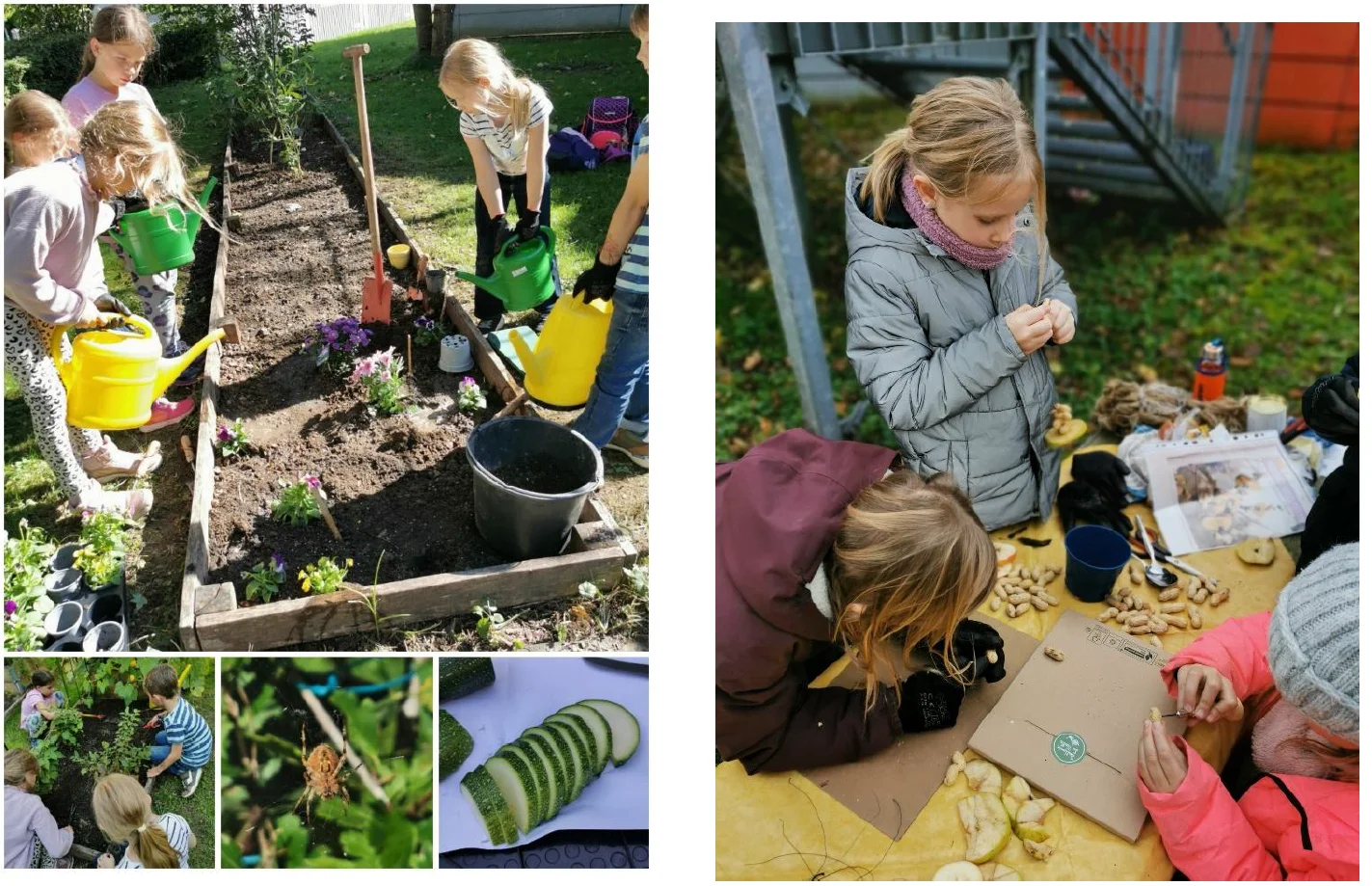 Bilder 2. HJ 2025 der Schulgarten AG SiWi