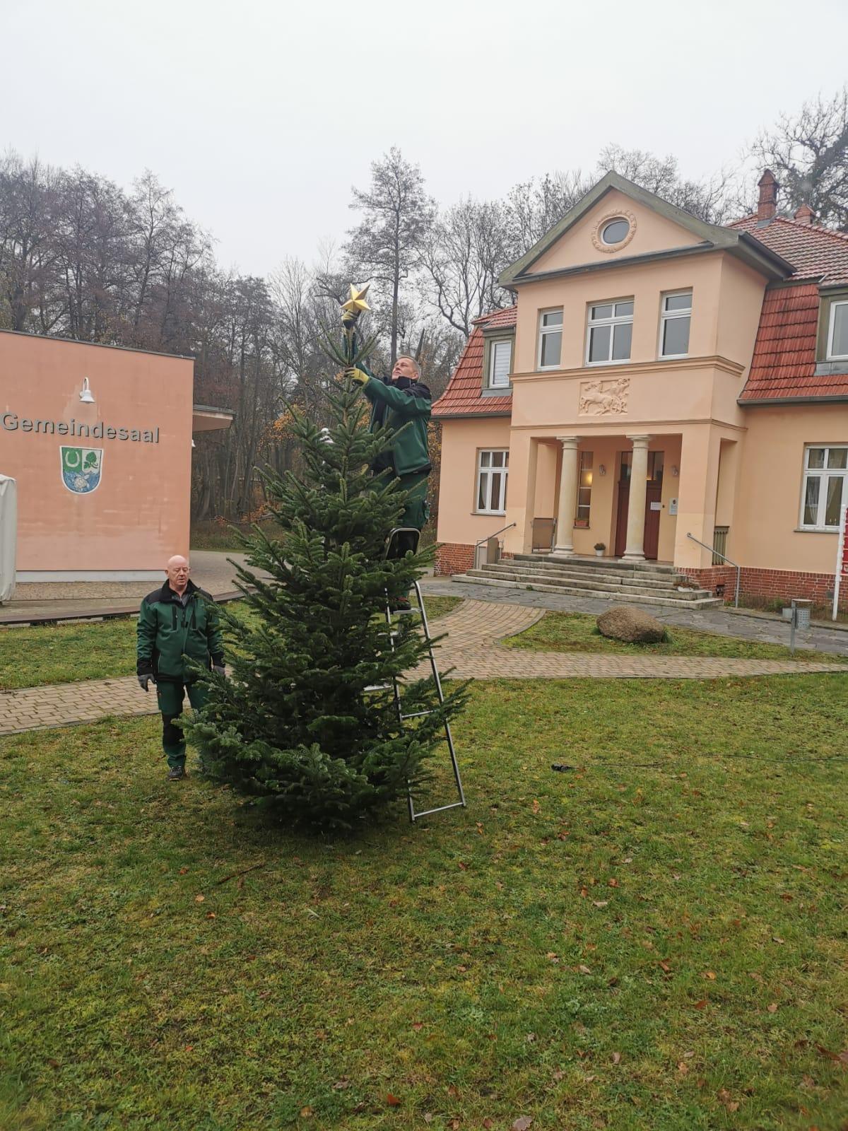 Der Weihnachtsbaum vor dem Rathaus wird geschmückt.
