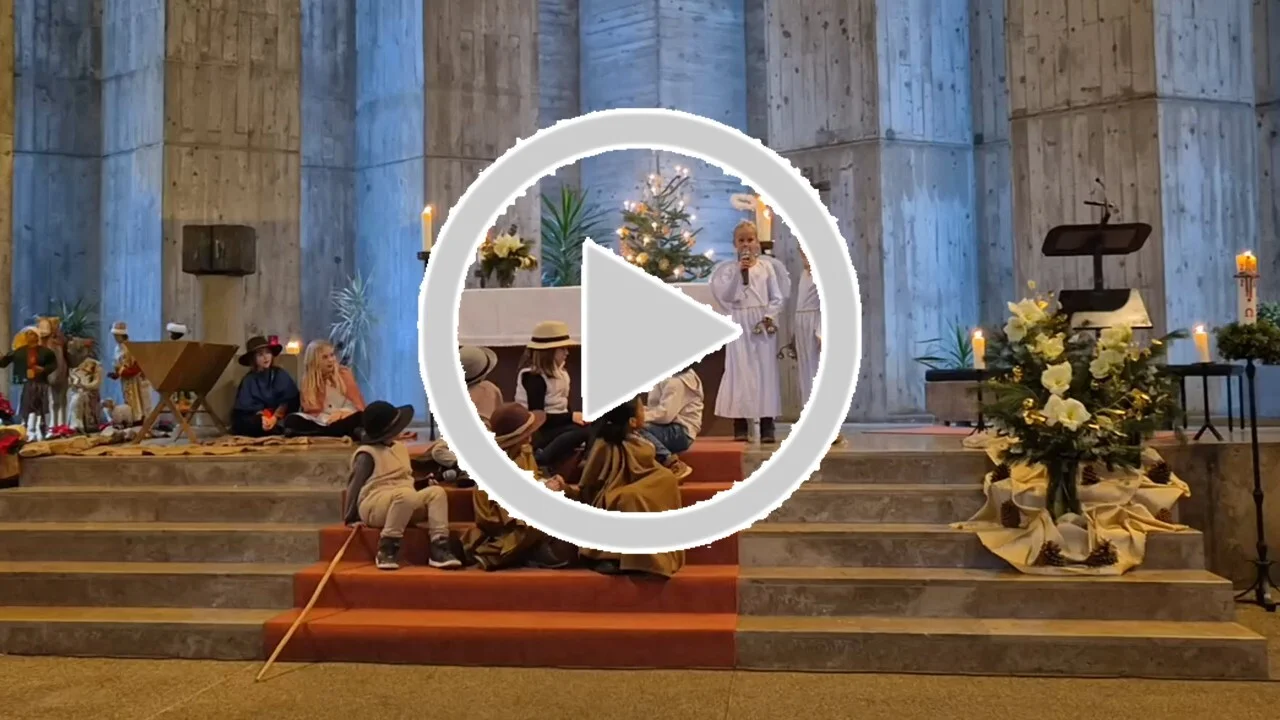 Link zum Video