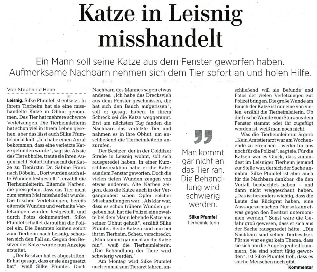 Zeitungsartikel Katze in Leisnig misshandelt