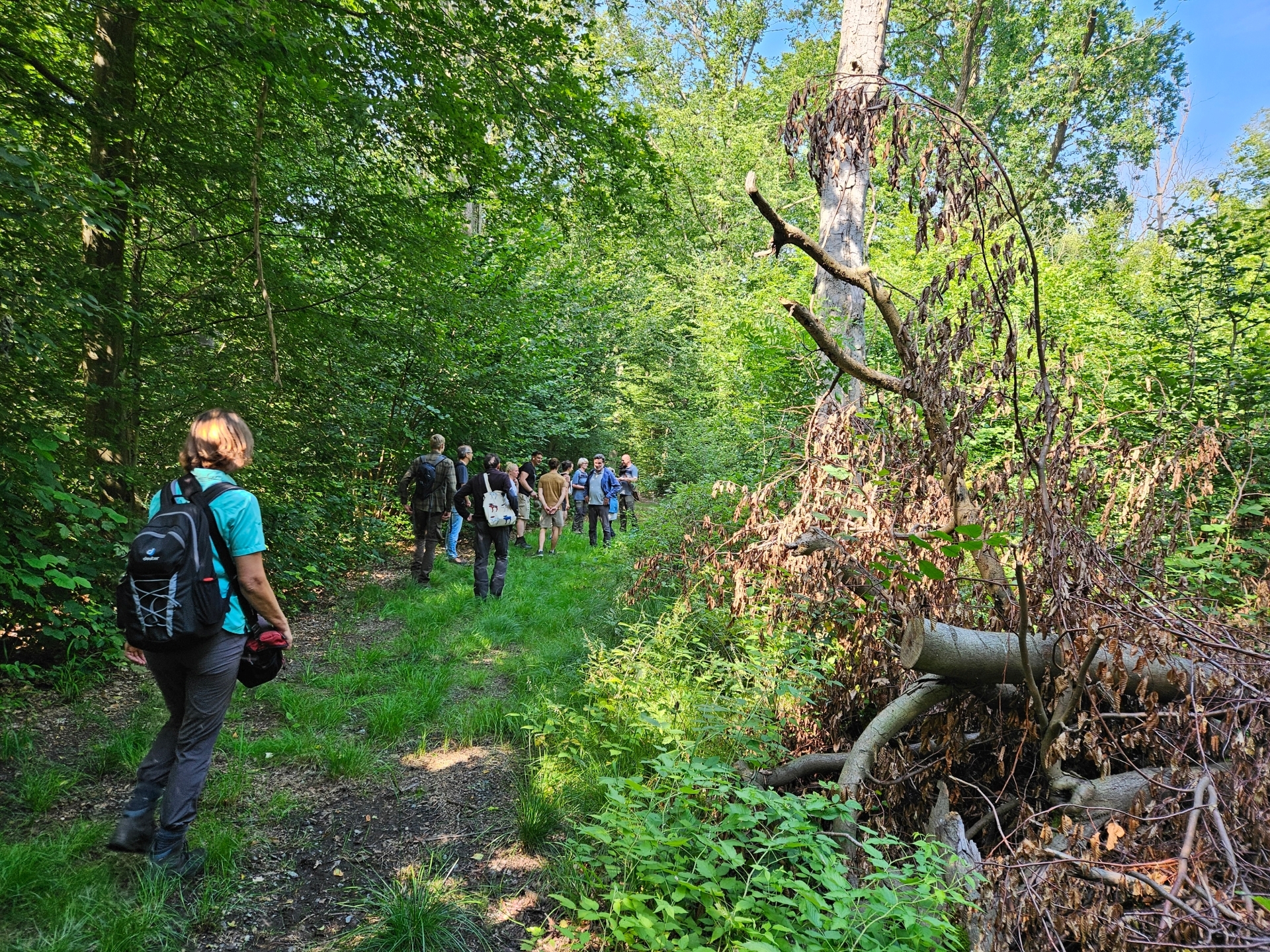 Umgefallene Bäume säumen den Weg. Foto: Dörthe Ziemer