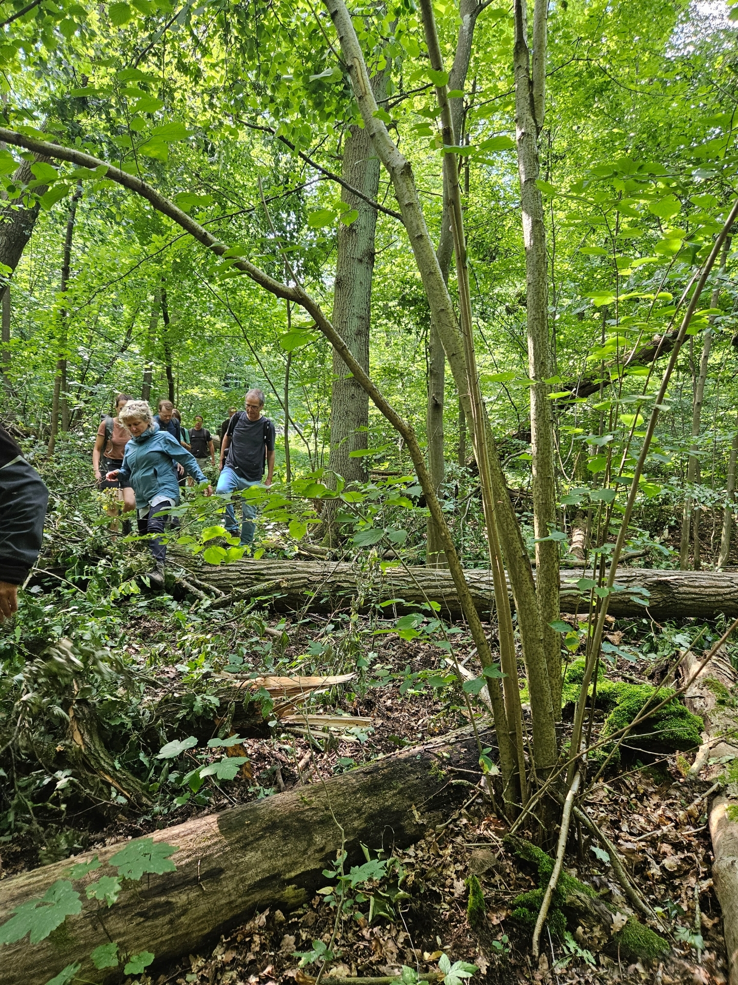 Kernzone 1: Hier dürfen Besucher nur mit fachkundiger Begleitung hinein. Foto: Dörthe Ziemer