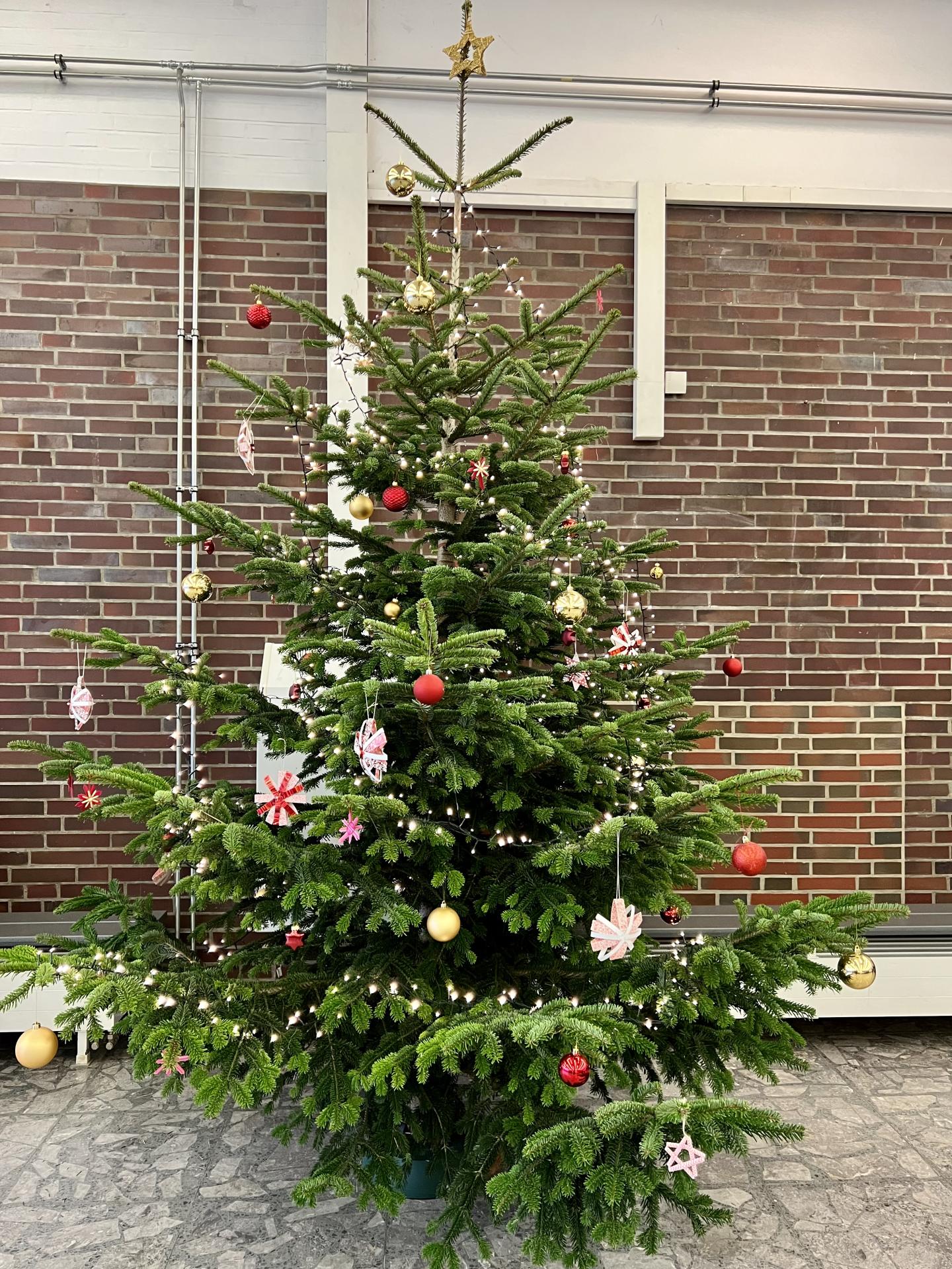 Weihnachtsbaum