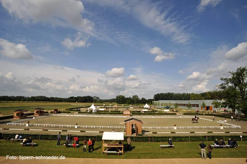 Die Dressurplätze sowie die direkt angrenzende T-Halle in Neustadt (Dosse) bieten beste Bedingungen für junge Pferde