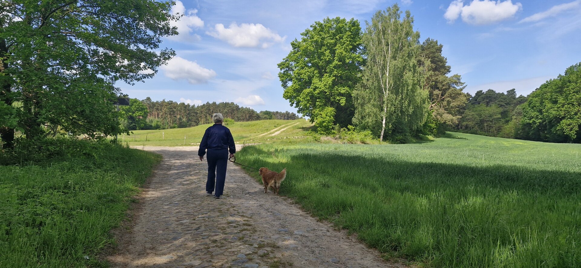 Spaziergang mit Hund zum Libbichteich