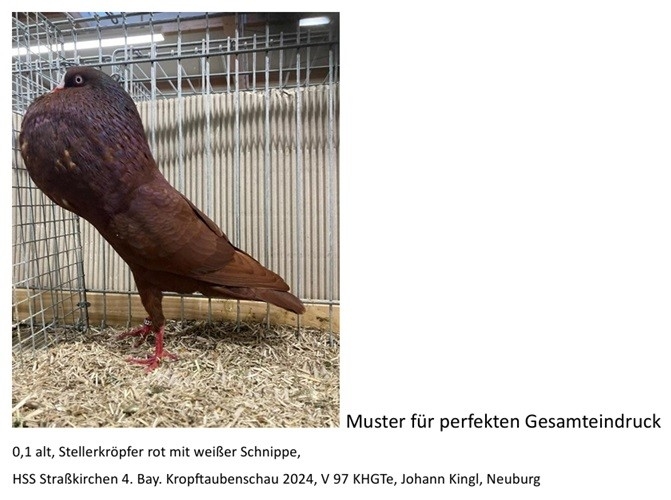 Musterbeschreibung
