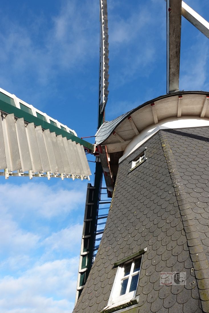 Mühle Idafehn im Wintersonnenlicht