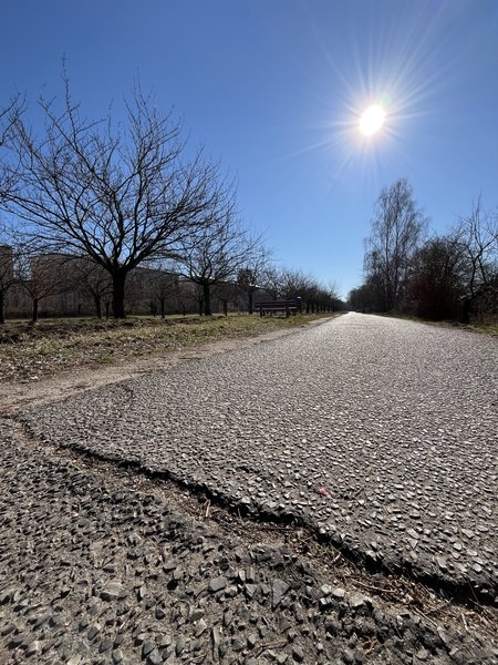 Gehwegschäden auf dem Mauerweg