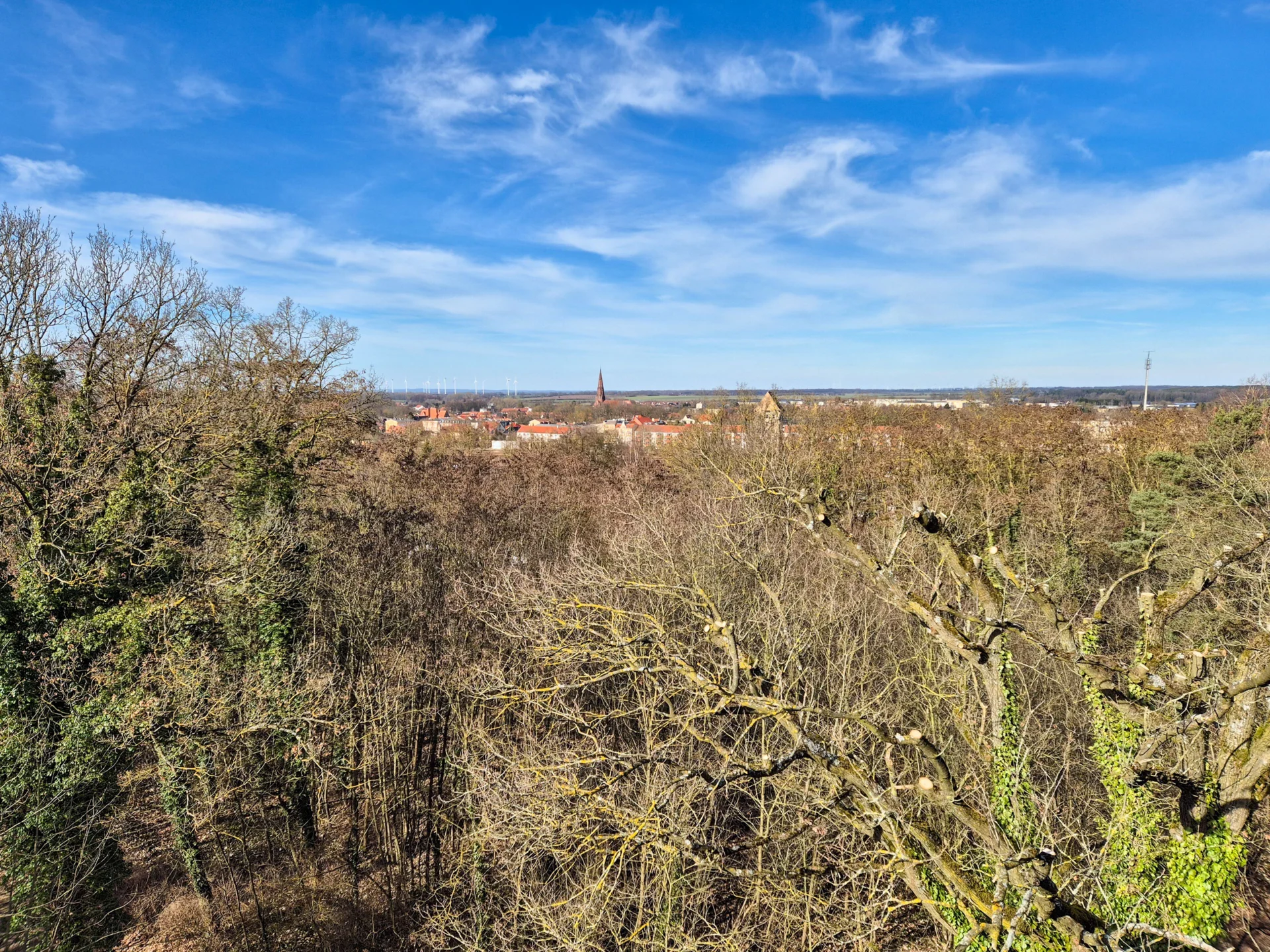 Gerade umgesetzt: Die Sictachsen rund um den Bismarckturm wurden im Februar freigeschnitten. Das war ein Projekt aus dem Bürgerhaushalt 2026. Foto: Stadt Pritzwalk