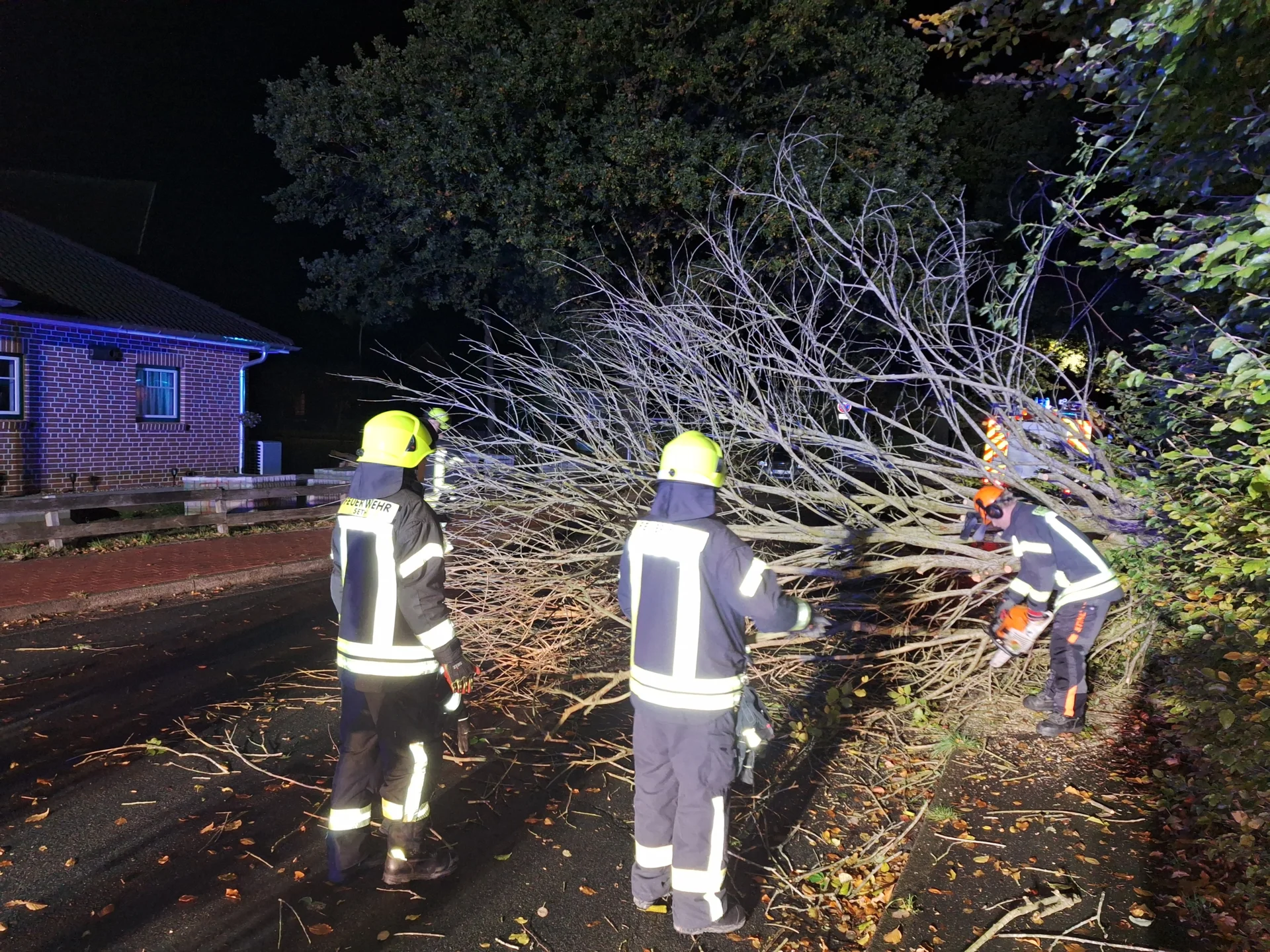Baum auf Straße