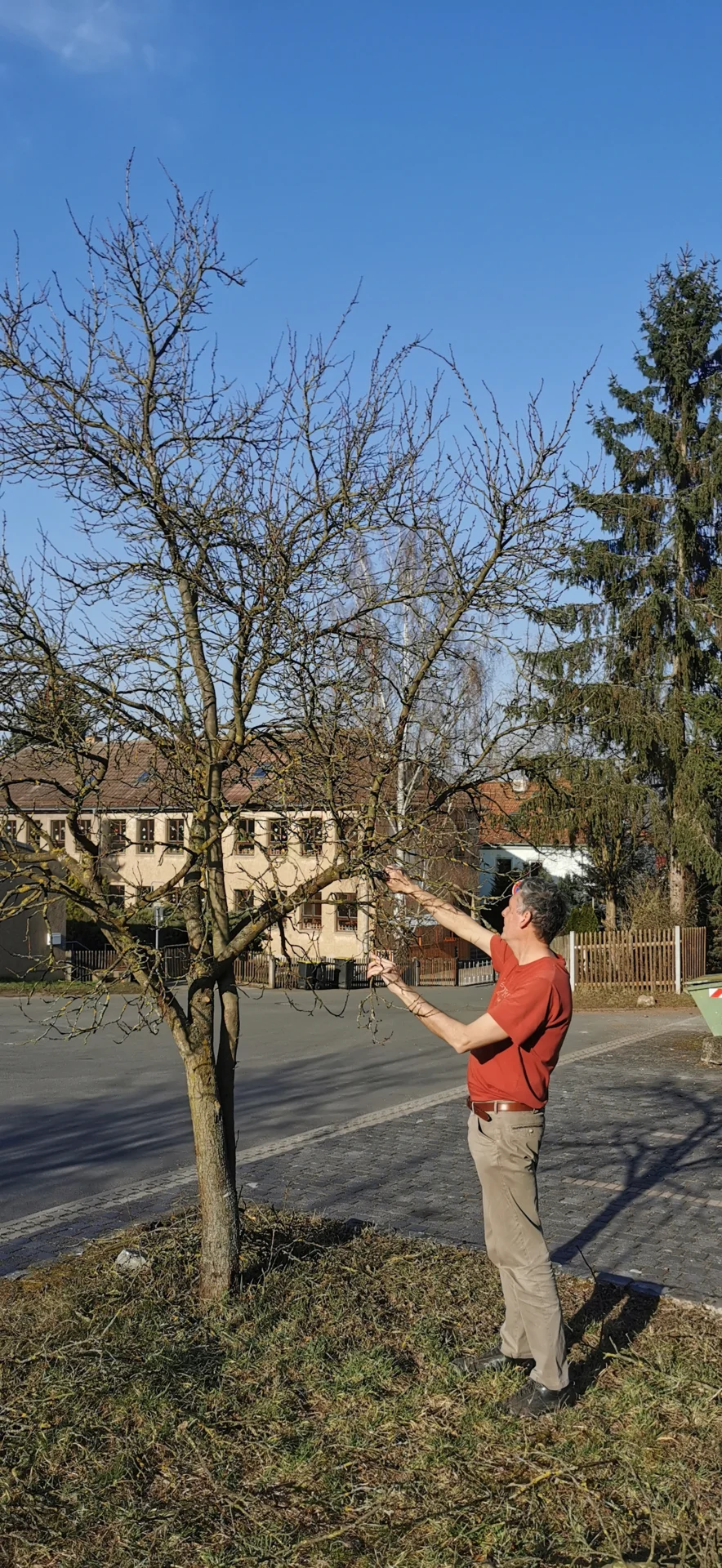 S. Beyerrt mit einem etwas älteren Baum