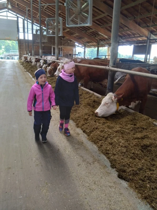 Besuch am Bauernhof 2