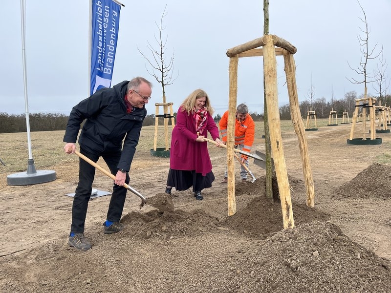 v.l.n.r.: Minister Tabbert, Beate Rietz (stellv. Bürgermeisterin) und Frank Schmidt (Regionalleiter West LS) pflanzen gemeinsam einen Baum